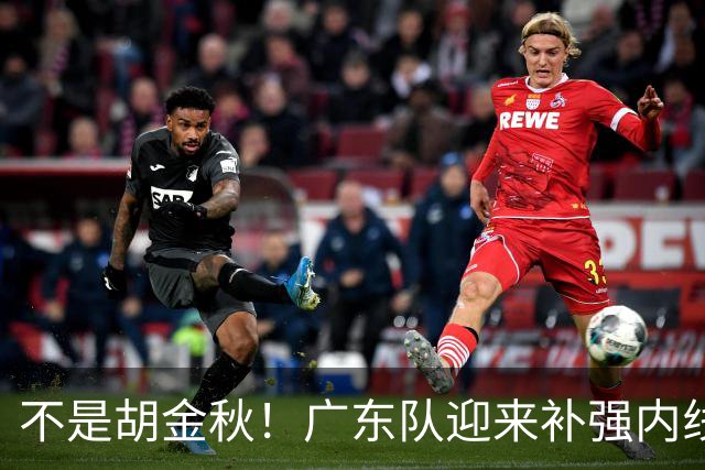 不是胡金秋！广东队迎来补强内线机会，“加强版王少杰”要来了？