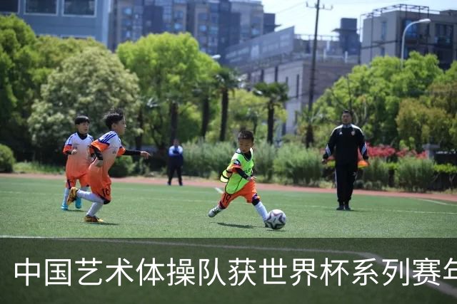 中国艺术体操队获世界杯系列赛年度“双料”第一