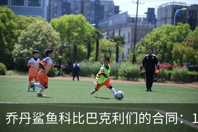 乔丹鲨鱼科比巴克利们的合同：1996，史上最伟大夏天