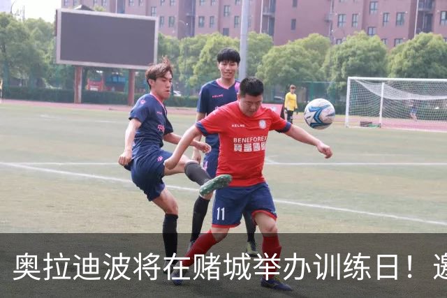 奥拉迪波将在赌城举办训练日！邀请NBA&CBA教练及高层验货