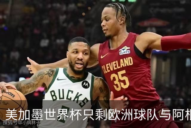 美加墨世界杯只剩欧洲球队与阿根廷队