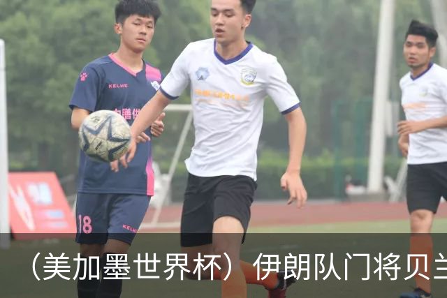（美加墨世界杯）伊朗队门将贝兰万德的“满分”