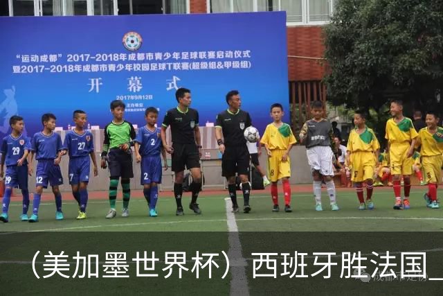 （美加墨世界杯）西班牙胜法国 队史第二次闯入世界杯决赛